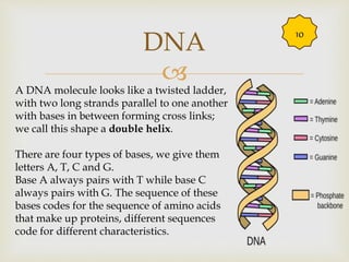Biological molecules & diet 2018 | PPTX