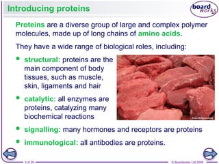 Comprehensive Overview of Proteins and Lipids: Structure, Function, and ...