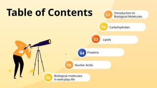 Comprehensive Overview of Biological Molecules: Structure, Function ...