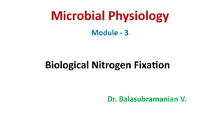 Comprehensive Overview of Biological Nitrogen Fixation and Rhizobium ...
