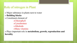 Biological Nitrogen Fixation | PPTX