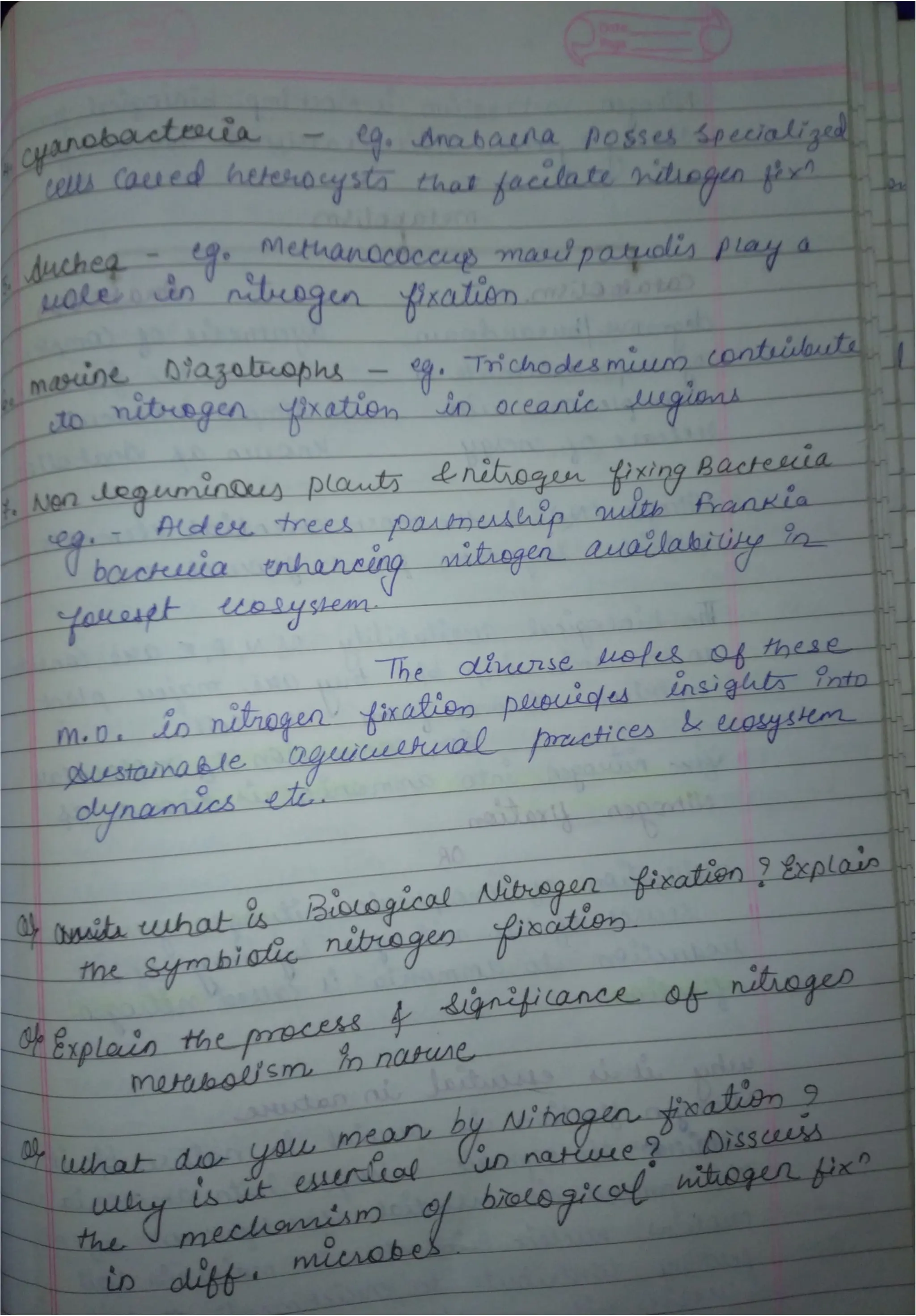 Biological Nitrogen Fixation And Mechanism Of Nitrogen Fixation Pdf