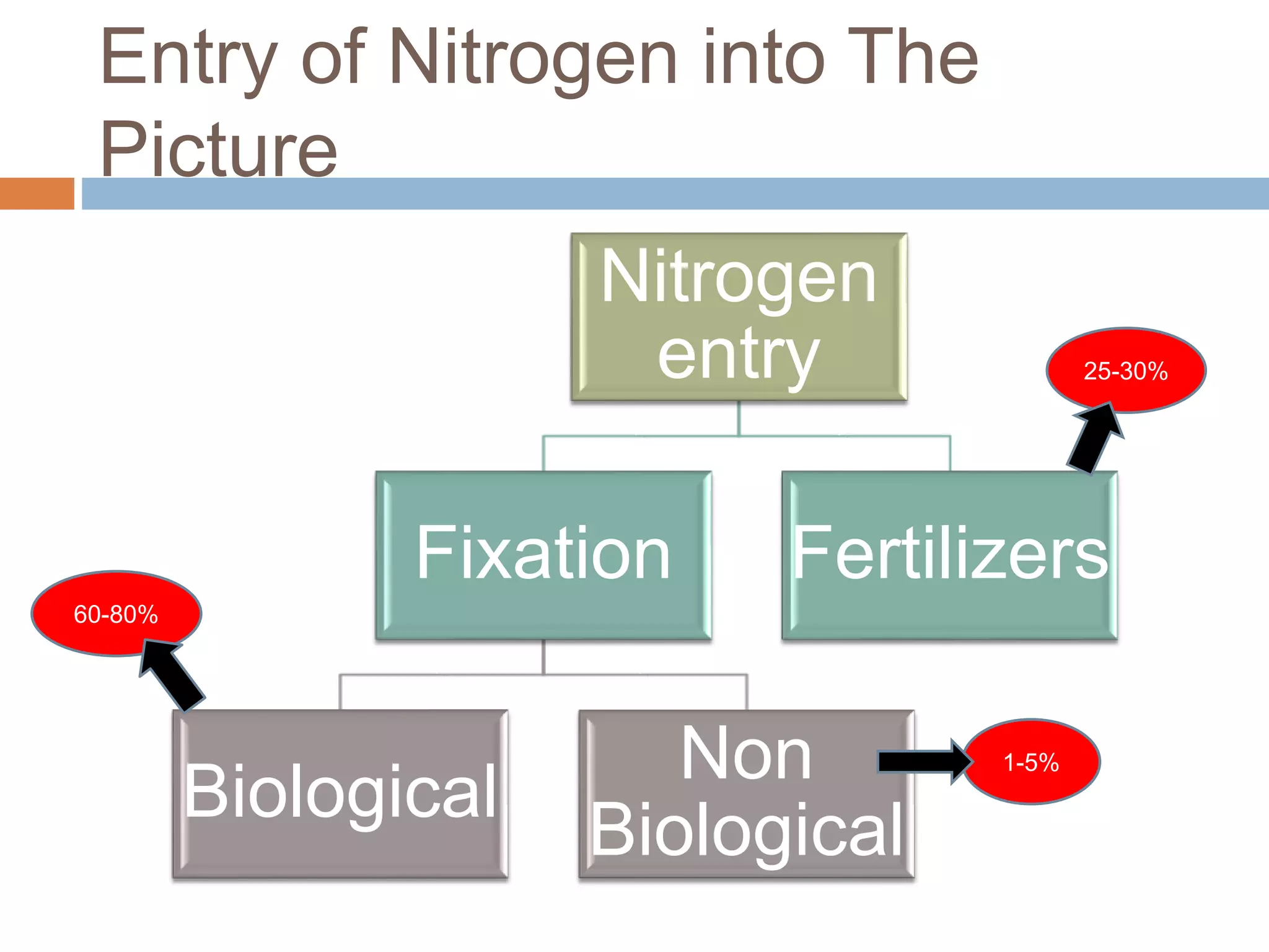 Biological nitrogen fixation in cereal crops | PPT