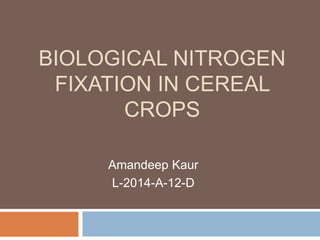 BIOLOGICAL NITROGEN
FIXATION IN CEREAL
CROPS
Amandeep Kaur
L-2014-A-12-D
 