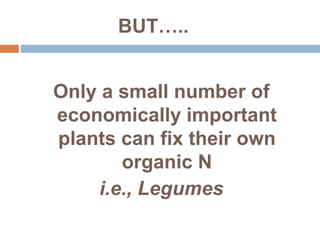 Biological nitrogen fixation in cereal crops | PPTX