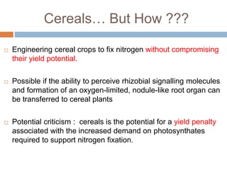 Biological nitrogen fixation in cereal crops | PPTX