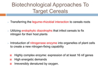 Biological nitrogen fixation in cereal crops | PPTX