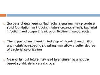 Biological nitrogen fixation in cereal crops | PPTX