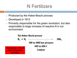 Biological nitrogen fixation in cereal crops | PPTX