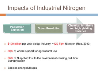 Biological nitrogen fixation in cereal crops | PPTX