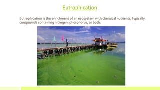 Eutrophication
Eutrophication is the enrichment of an ecosystem with chemical nutrients, typically
compounds containing nitrogen, phosphorus, or both.
 