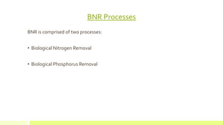 BNR Processes
BNR is comprised of two processes:
• Biological Nitrogen Removal
• Biological Phosphorus Removal
 