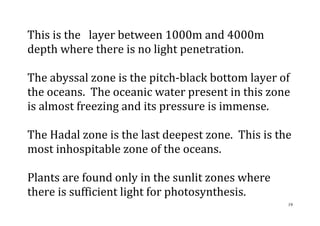 19
This is the layer between 1000m and 4000m
depth where there is no light penetration.
The abyssal zone is the pitch-black bottom layer of
the oceans. The oceanic water present in this zone
is almost freezing and its pressure is immense.
The Hadal zone is the last deepest zone. This is the
most inhospitable zone of the oceans.
Plants are found only in the sunlit zones where
there is sufficient light for photosynthesis.
 
