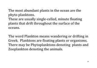 48
The most abundant plants in the ocean are the
phyto planktons.
These are usually single-celled, minute floating
plants that drift throughout the surface of the
oceans.
The word Plankton means wandering or drifting in
Greek. Planktons are floating plants or organisms.
There may be Phytoplanktons denoting plants and
Zooplankton denoting the animals.
 