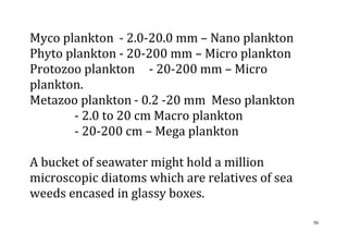 50
Myco plankton - 2.0-20.0 mm – Nano plankton
Phyto plankton - 20-200 mm – Micro plankton
Protozoo plankton - 20-200 mm – Micro
plankton.
Metazoo plankton - 0.2 -20 mm Meso plankton
- 2.0 to 20 cm Macro plankton
- 20-200 cm – Mega plankton
A bucket of seawater might hold a million
microscopic diatoms which are relatives of sea
weeds encased in glassy boxes.
 