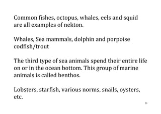 53
Common fishes, octopus, whales, eels and squid
are all examples of nekton.
Whales, Sea mammals, dolphin and porpoise
codfish/trout
The third type of sea animals spend their entire life
on or in the ocean bottom. This group of marine
animals is called benthos.
Lobsters, starfish, various norms, snails, oysters,
etc.
 