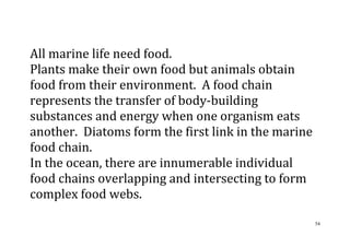 54
All marine life need food.
Plants make their own food but animals obtain
food from their environment. A food chain
represents the transfer of body-building
substances and energy when one organism eats
another. Diatoms form the first link in the marine
food chain.
In the ocean, there are innumerable individual
food chains overlapping and intersecting to form
complex food webs.
 