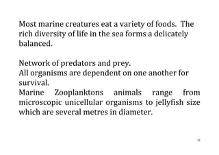 55
Most marine creatures eat a variety of foods. The
rich diversity of life in the sea forms a delicately
balanced.
Network of predators and prey.
All organisms are dependent on one another for
survival.
Marine Zooplanktons animals range from
microscopic unicellular organisms to jellyfish size
which are several metres in diameter.
 