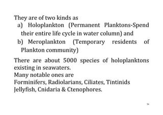 56
They are of two kinds as
a) Holoplankton (Permanent Planktons-Spend
their entire life cycle in water column) and
b) Meroplankton (Temporary residents of
Plankton community)
There are about 5000 species of holoplanktons
existing in seawaters.
Many notable ones are
Forminifers, Radiolarians, Ciliates, Tintinids
Jellyfish, Cnidaria & Ctenophores.
 