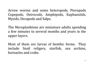 57
Arrow worms and some heteropods, Pteropods
Copepods, Ostrocods, Amphipods, Euphansiids,
Mysids, Decapods and Salps.
The Meroplanktons are miniature adults spending
a few minutes to several months and years in the
upper layers.
Most of them are larvae of benthic forms. They
include Snail religers, starfish, sea urchins,
barnacles and crabs.
 