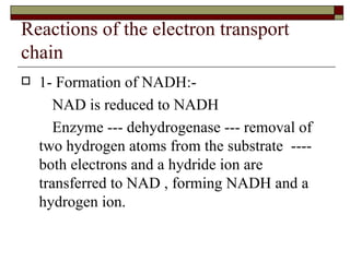 Reactions of the electron transport chain 1- Formation of NADH:- NAD is reduced to NADH Enzyme --- dehydrogenase --- removal of two hydrogen atoms from the substrate  ---- both electrons and a hydride ion are transferred to NAD , forming NADH and a hydrogen ion. 