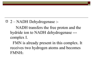 2 – NADH Dehydrogenase :- NADH transfers the free proton and the hydride ion to NADH dehydrogenase --- complex I.  FMN is already present in this complex. It receives two hydrogen atoms and becomes FMNH 2.  