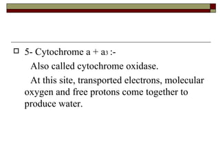 5- Cytochrome a + a 3  :- Also called cytochrome oxidase. At this site, transported electrons, molecular oxygen and free protons come together to produce water. 