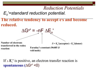 Reduction Potentials Number of electrons transferred in the redox reaction Faraday’s constant (96485 J/volt/mole) Crucial equation:    G o ' = -n F    E o '   The relative tendency to accept e - s and become reduced.   = E o '(acceptor) - E o '(donor) E 0 ’=standard reduction potential. If     E o '  is positive, an electron transfer reaction is  spontaneous (  G o ' <0) 