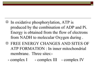 In oxidative phosphorylation, ATP is produced by the combination of ADP and Pi. Energy is obtained from the flow of electrons from NADH to molecular Oxygen during . FREE ENERGY CHANGES AND SITES OF ATP FORMATION : In inner mitochondrial membrane.  Three sites:- - complex I  - complex III  - complex IV 
