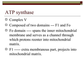 ATP synthase Complex V Composed of two domains --- F1 and Fo Fo domain ---- spans the inner mitochondrial membrane and serves as a channel through which protons reenter into mitochondrial matrix. F1 ----- extra membranous part, projects into mitochondrial matrix. 