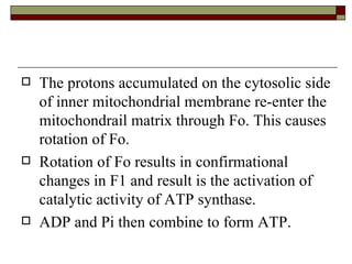 The protons accumulated on the cytosolic side of inner mitochondrial membrane re-enter the mitochondrail matrix through Fo. This causes rotation of Fo. Rotation of Fo results in confirmational changes in F1 and result is the activation of catalytic activity of ATP synthase. ADP and Pi then combine to form ATP. 