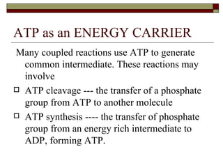 ATP as an ENERGY CARRIER Many coupled reactions use ATP to generate common intermediate. These reactions may involve ATP cleavage --- the transfer of a phosphate group from ATP to another molecule ATP synthesis ---- the transfer of phosphate group from an energy rich intermediate to ADP, forming ATP.  