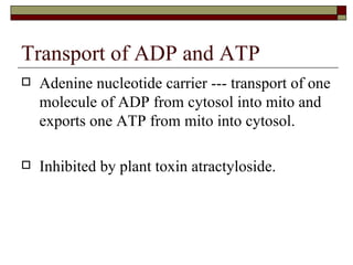 Transport of ADP and ATP  Adenine nucleotide carrier --- transport of one molecule of ADP from cytosol into mito and exports one ATP from mito into cytosol. Inhibited by plant toxin atractyloside. 