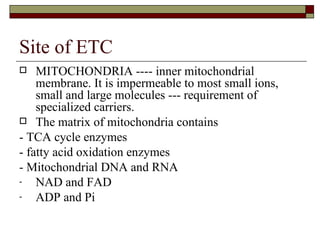 Site of ETC MITOCHONDRIA ---- inner mitochondrial membrane. It is impermeable to most small ions, small and large molecules --- requirement of specialized carriers. The matrix of mitochondria contains  - TCA cycle enzymes - fatty acid oxidation enzymes - Mitochondrial DNA and RNA NAD and FAD ADP and Pi 