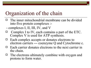Organization of the chain The inner mitochondrial membrane can be divided into five protein complexes :- - complexes I, II, III, IV, and V Complex I to IV, each contains a part of the ETC.  Complex V is used for ATP synthesis. Each complex accepts or donates electrons to electron carriers --- coenzyme Q and Cytochrome c. Each carrier donates electrons to the next carrier in the chain. The electrons ultimately combine with oxygen and protons to form water. 