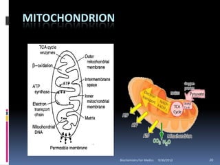 MITOCHONDRION




                Biochemistry For Medics   9/30/2012   20
 