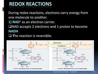 REDOX REACTIONS
During redox reactions, electrons carry energy from
one molecule to another.
1) NAD+ as an electron carrier.
NAD accepts 2 electrons and 1 proton to become
NADH
 The reaction is reversible.




                            Biochemistry For Medics   9/30/2012   28
 