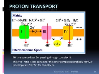 PROTON TRANSPORT




 4H+ are pumped per 2e- passing through complex III.
 The H+/e- ratio is less certain for the other complexes: probably 4H+/2e-
 for complex I; 2H+/2e- for complex IV.

                                      Biochemistry For Medics   9/30/2012    50
 