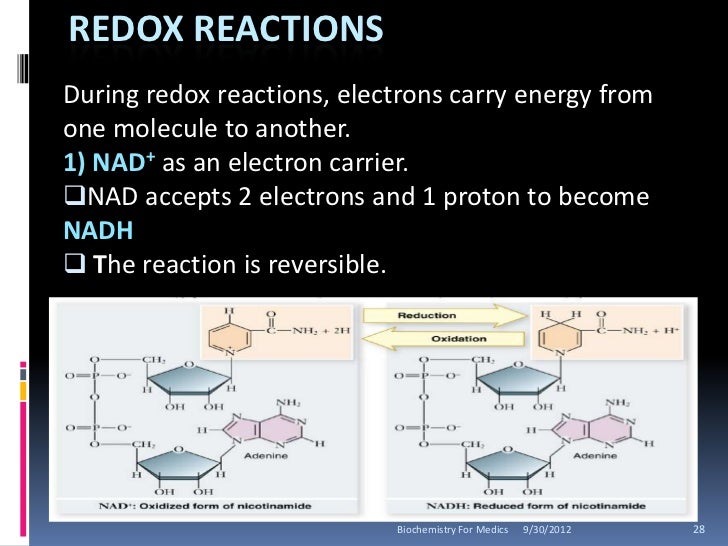 biological redox reactions examples Basic biological reactions.