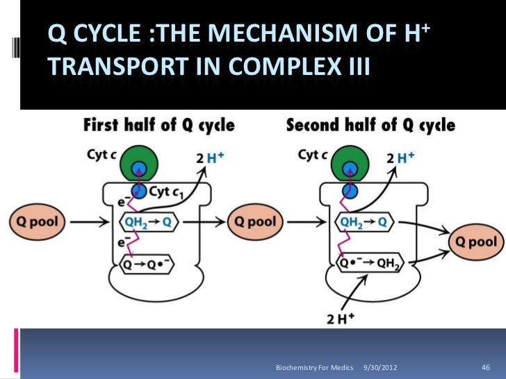 Biological oxidation and oxidative phosphorylation