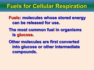 Fuels for Cellular RespirationFuels for Cellular Respiration
FuelsFuels: molecules whose stored energy: molecules whose stored energy
can be released for use.can be released for use.
The most common fuel in organismsThe most common fuel in organisms
isis glucoseglucose..
Other molecules are first convertedOther molecules are first converted
into glucose or other intermediateinto glucose or other intermediate
compounds.compounds.
 