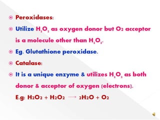 Biological oxidation of ATP synthesis