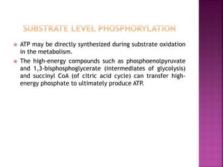  ATP may be directly synthesized during substrate oxidation
in the metabolism.
 The high-energy compounds such as phosphoenolpyruvate
and 1,3-bisphosphoglycerate (intermediates of glycolysis)
and succinyl CoA (of citric acid cycle) can transfer high-
energy phosphate to ultimately produce ATP.
 