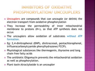  Uncouplers are compounds that can uncouple (or delink) the
electron transport from oxidative phosphorylation
 They increase the permeability of inner mitochondrial
membrane to protons (H+), so that ATP synthesis does not
occur.
 The uncouplers allow oxidation of substrates without ATP
formation.
 Eg: 2,4-dinitrophenol (DNP), dinitrocresol, pentachlorophenol,
trifluorocarbonylcyanide phenylhydrazone( FCCP).
 Physiological substances like thermogenin, thyroxine and long
chain free fatty acids
 The antibiotic Oligomycin prevents the mitochondrial oxidation
as well as phosphorylation.
 Plant toxin Atractyloside is an uncoupler
 