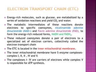  Energy-rich molecules, such as glucose, are metabolized by a
series of oxidation reactions and yield CO2 and water.
 The metabolic intermediates of these reactions donate
electrons to specific coenzymes, nicotinamide adenine
dinucleotide (NAD+) and flavin adenine dinucleotide (FAD), to
form the energy-rich reduced forms, NADH and FADH2.
 These reduced coenzymes donate a pair of electrons to a
specialized set of electron carriers, collectively called the
electron transport chain
 The ETC is located in the inner mitochondrial membrane.
 The inner mitochondrial membrane have 5 enzyme complexes-
complex I, II, II , IV and V.
 The complexes I- IV are carriers of electrons while complex V
is responsible for ATP synthesis.
 
