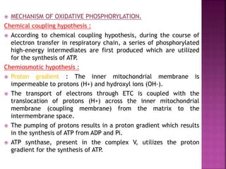  MECHANISM OF OXIDATIVE PHOSPHORYLATION.
Chemical coupling hypothesis :
 According to chemical coupling hypothesis, during the course of
electron transfer in respiratory chain, a series of phosphorylated
high-energy intermediates are first produced which are utilized
for the synthesis of ATP.
Chemiosmotic hypothesis :
 Proton gradient : The inner mitochondrial membrane is
impermeable to protons (H+) and hydroxyl ions (OH-).
 The transport of electrons through ETC is coupled with the
translocation of protons (H+) across the inner mitochondrial
membrane (coupling membrane) from the matrix to the
intermembrane space.
 The pumping of protons results in a proton gradient which results
in the synthesis of ATP from ADP and Pi.
 ATP synthase, present in the complex V, utilizes the proton
gradient for the synthesis of ATP.
 