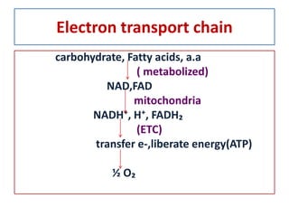 Electron transport chain
carbohydrate, Fatty acids, a.a
( metabolized)
NAD,FAD
mitochondria
NADH⁺, H⁺, FADH₂
(ETC)
transfer e-,liberate energy(ATP)
½ O₂
 