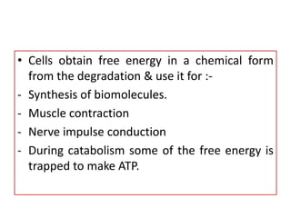 • Cells obtain free energy in a chemical form
from the degradation & use it for :-
- Synthesis of biomolecules.
- Muscle contraction
- Nerve impulse conduction
- During catabolism some of the free energy is
trapped to make ATP.
 