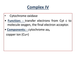 Complex IV
• Cytochrome oxidase
• Function: - transfer electrons from Cyt c to
molecule oxygen, the final electron acceptor.
• Components: - cytochrome aa₃
copper ion (Cu+)
 