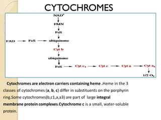 Biological oxidation | PDF